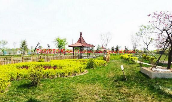 3A������������ׯ԰���ι���