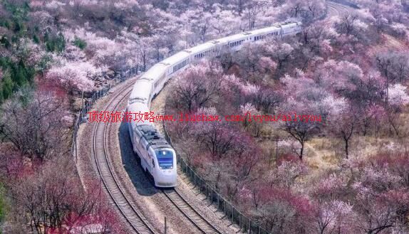 ��������s2�����ι���