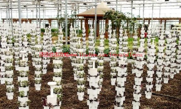 3A���������԰�տƼ�����԰���ι���