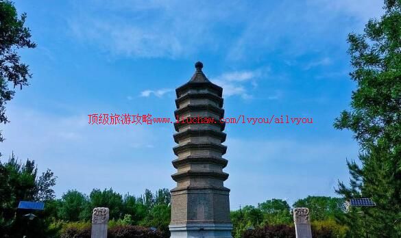 3A����������԰���ι���