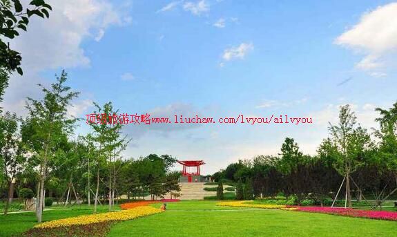 ������������԰���ι���