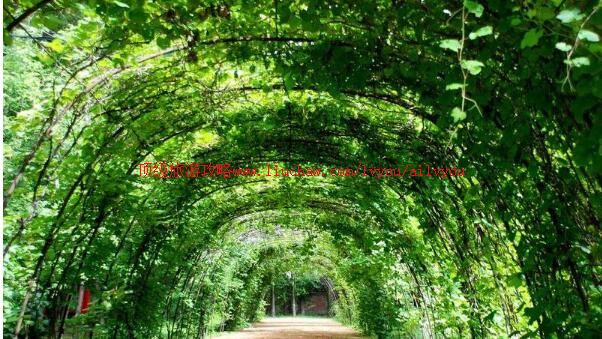 �������˲������Ѵ�����۹��ժ԰���ι���