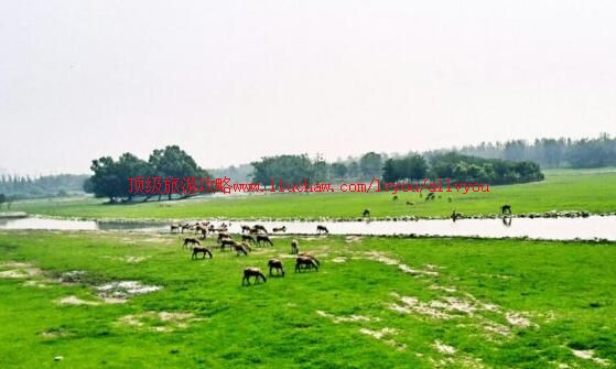 ���������Ϻ�����¹Է���ι���