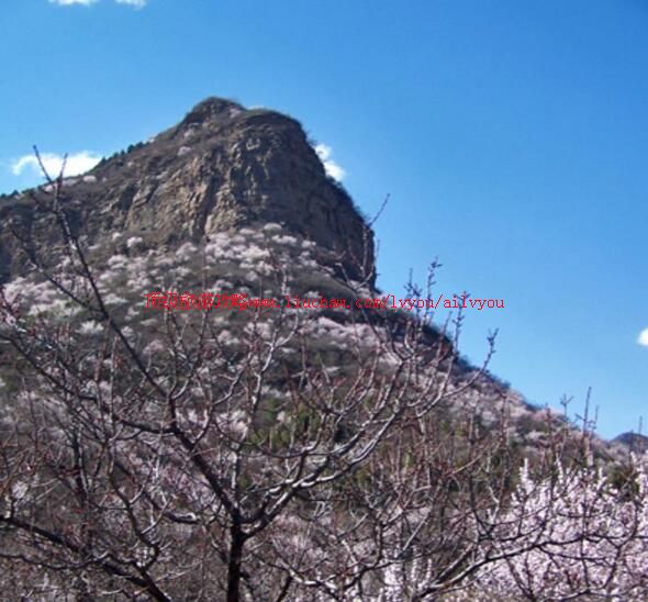 1A北京将军坨风景区旅游攻略