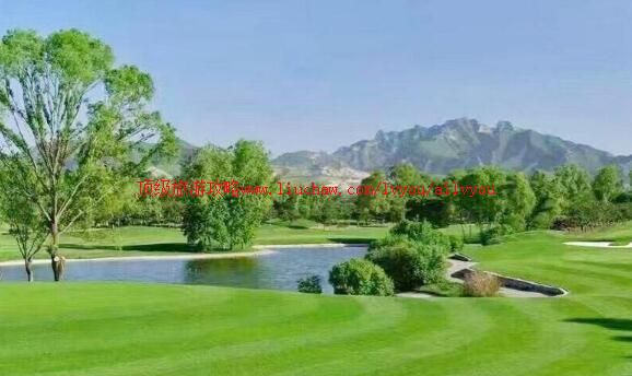 �������Ը߶�����ֲ����ι���