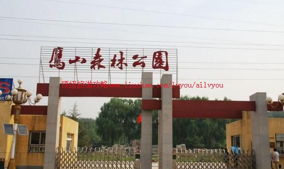 2A������̨ӥɽɭ�ֹ�԰���ι���