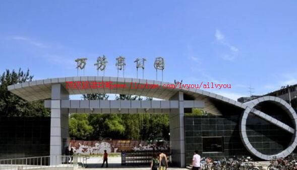 2A������ͤ��԰���ι���