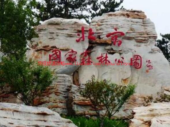 4A��������ɭ�ֹ�԰���ι���