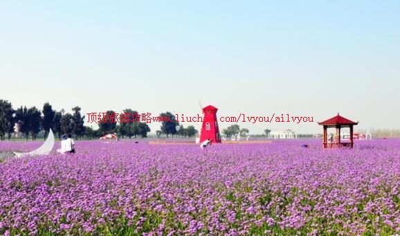 �����Ϲ�����԰���ι���