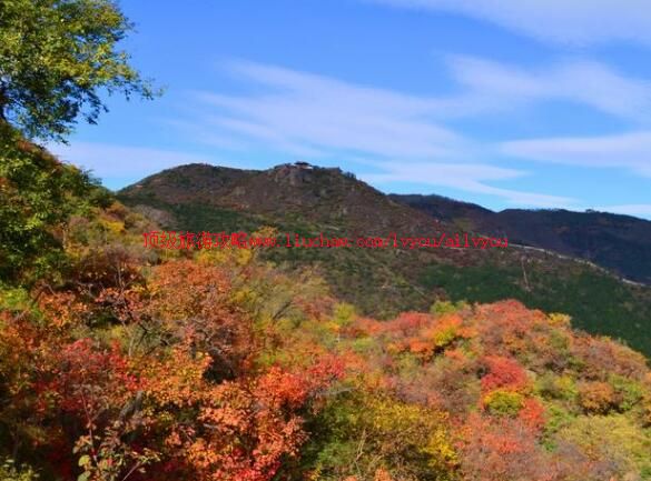 4A������ɽ��԰���ι���