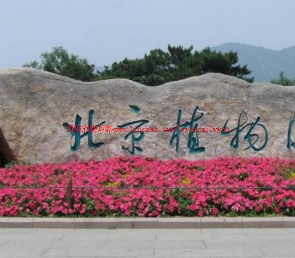 4A����ֲ��԰���ι���