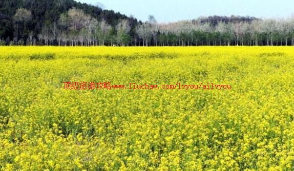 ��������Ͳ˻������ι���