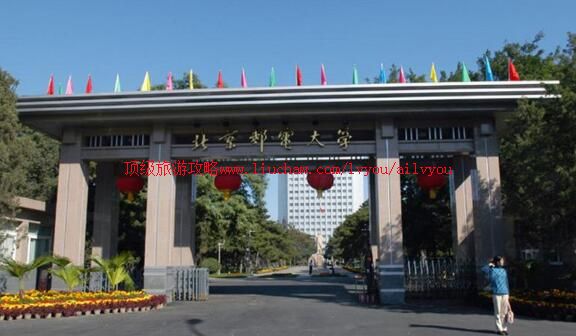 �����ʵ��ѧУ԰������ι���