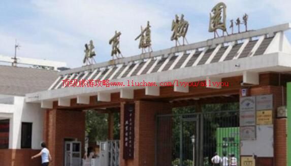 北京中科院北京植物园旅游攻略