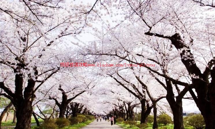 �ձ����ֱ���չʤ�����ι���