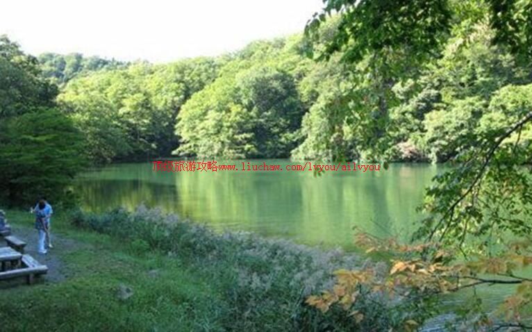 日本白神山地旅游攻略