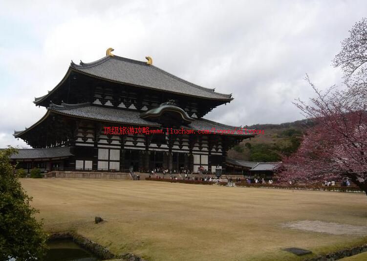 日本东大寺旅游攻略