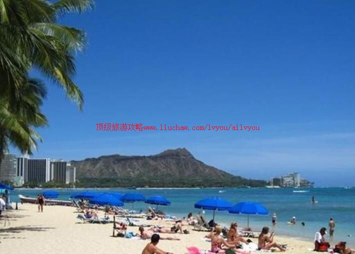 �ձ�С��ԭȺ�����ι���