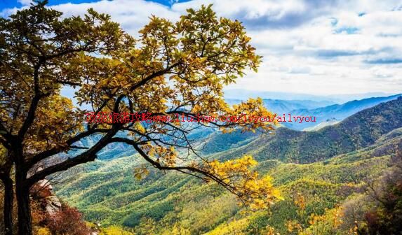 3A北京喇叭沟原始森林公园旅游攻略