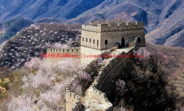 ����������Ȫ���������ι���