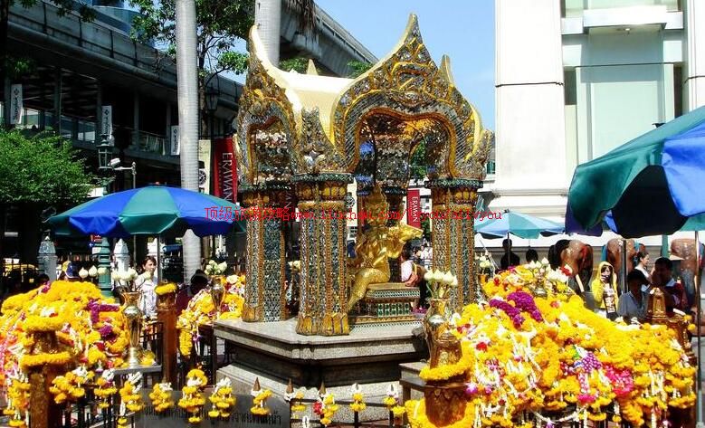 ̩��������������ι���