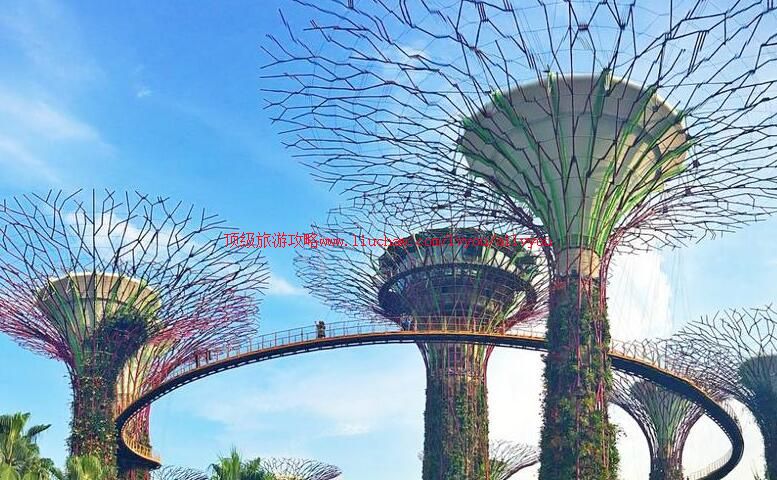 �¼��±����廨԰���ι���