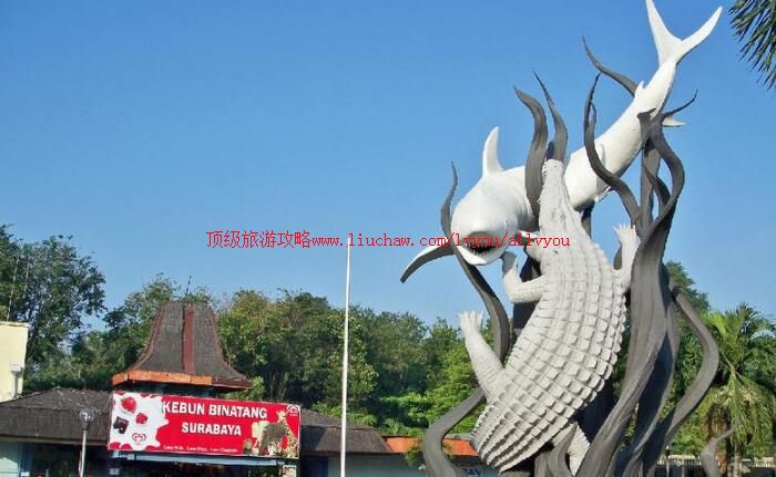 ӡ���������������ι���