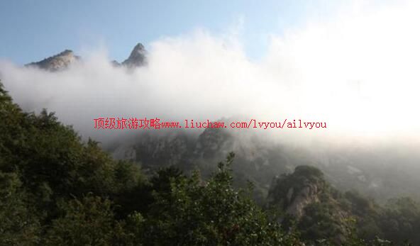 2A��������ɽ����ɭ�ֹ�԰���ι���