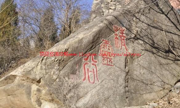 �������ƾ������Ȼ�羰�����ι���