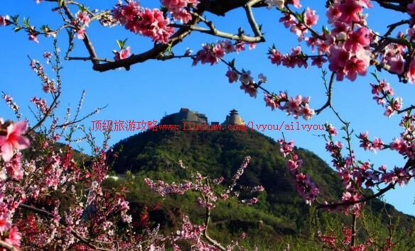 4A����ƽ��Ѿ��ɽ�������ι���