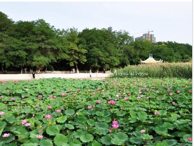 宁夏银川龙池旅游攻略 银川市 兴庆区