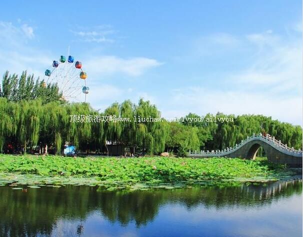 宁夏宁夏银川中山公园旅游攻略 银川市 兴庆区