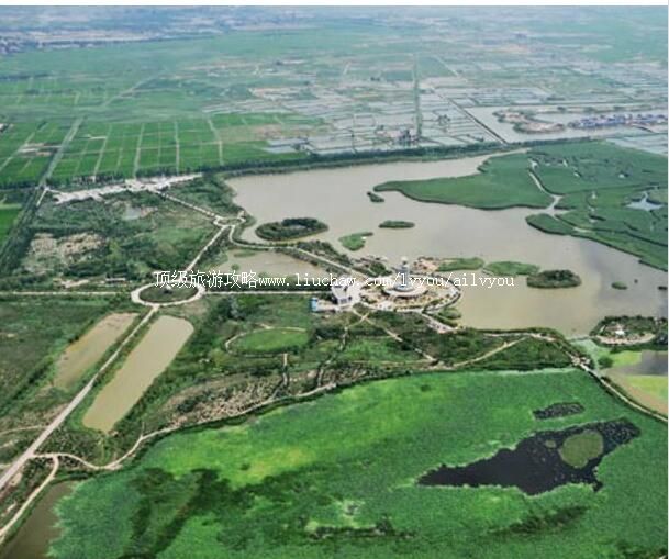 4A�����������������ʪ�ع�԰���ι���        ������ ������ ������