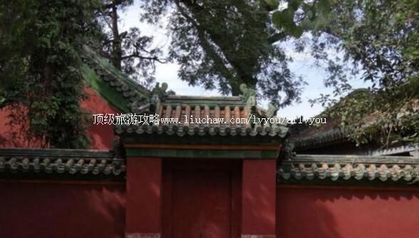 ���������ų����ι���