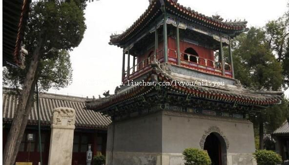 ����ţ����������ι���