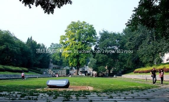 �����˶�����԰���ι���