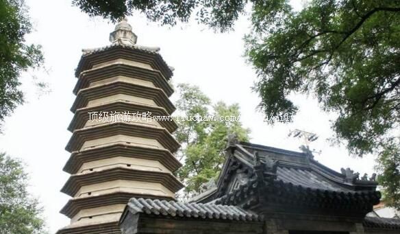 �����������������ι���