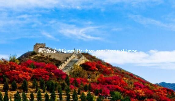 3A�����˴������ɭ�ֹ�԰���ι���