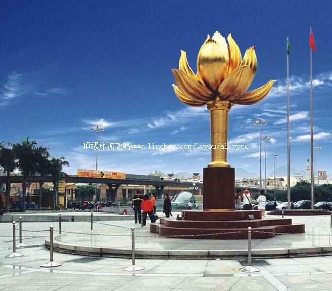 ���Ž������㳡���ι���