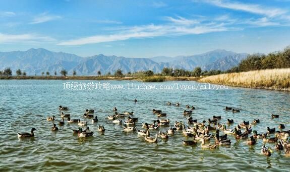 4A��������ҰѼ������ʪ�ع�԰���ι���