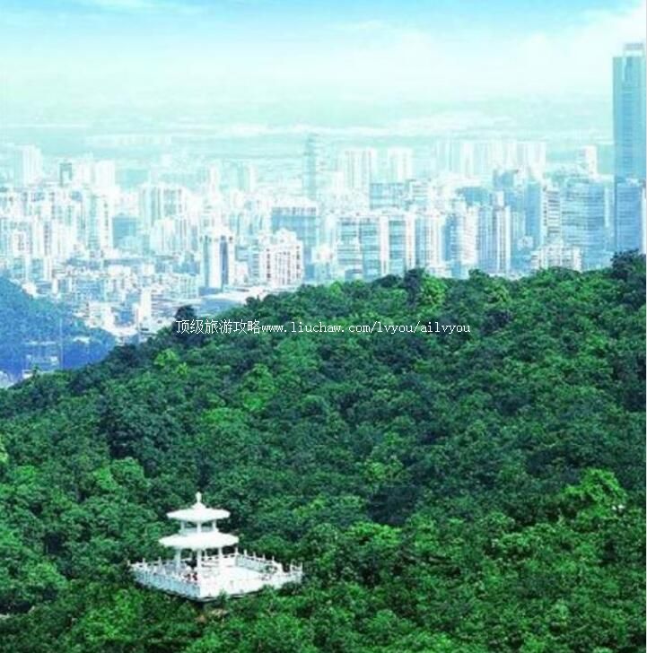 5A���ݰ���ɽ�羰�����ι���