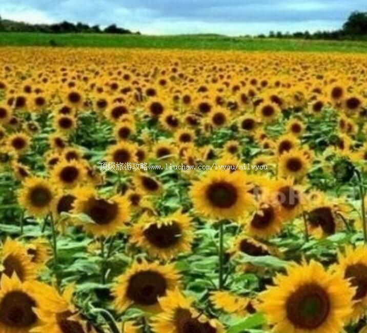 4A���ݰ����԰���⹫԰���ι���