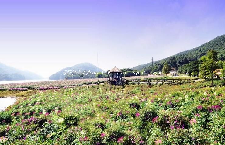 4A���ݴӻ�ʯ�Ź���ɭ�ֹ�԰���ι���