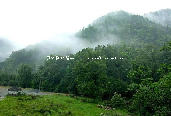 �㶫��������Ҽ���Ȼ���������ι���