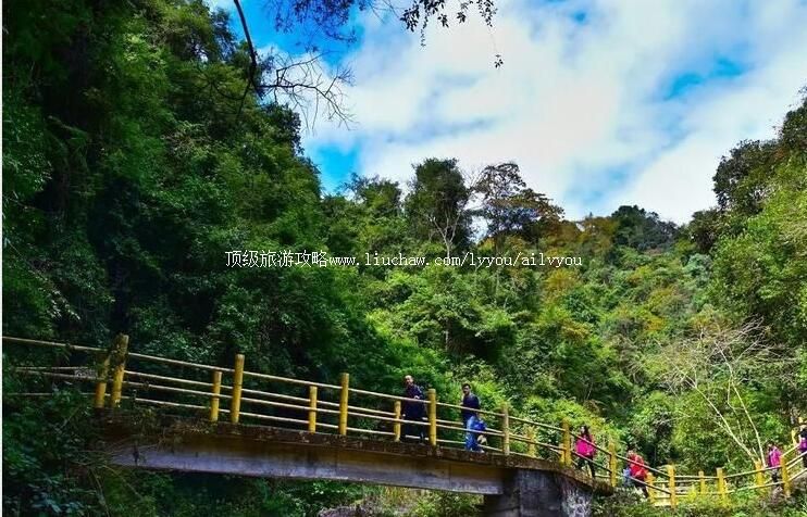 3A�㶫�쾮ɽ����ɭ�ֹ�԰���ι���