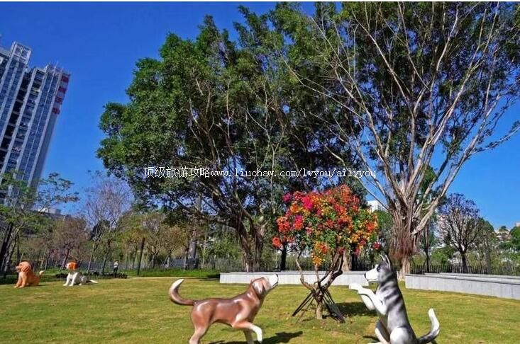 ���ڳ������⹫԰���ι���