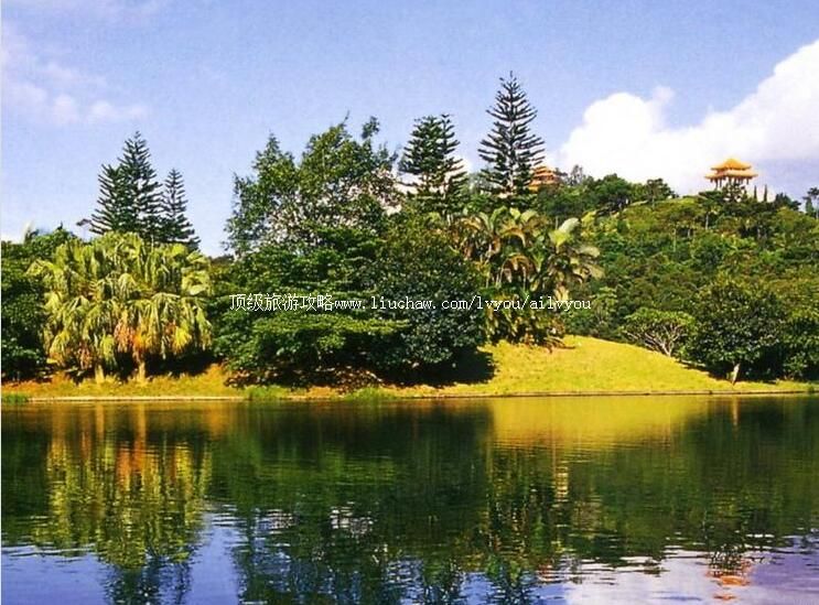 4A�����ɺ�ֲ��԰���ι���