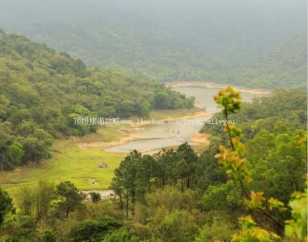 �麣���ɽ���ι���