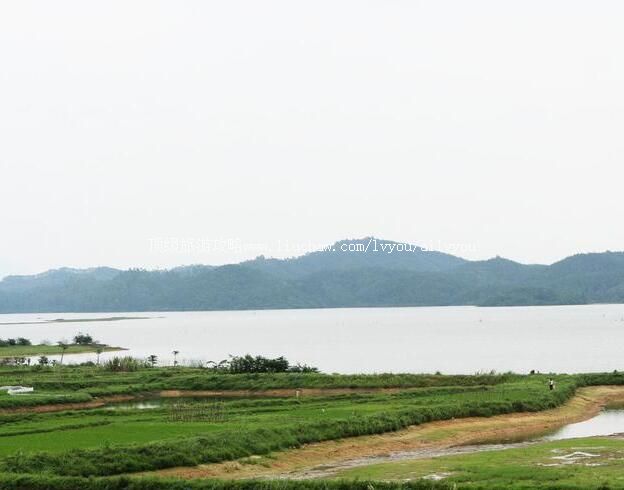 ��ƽ��ɳ��ˮ�����ι���