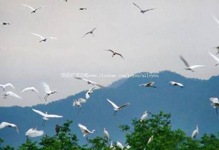 ������������������ι���